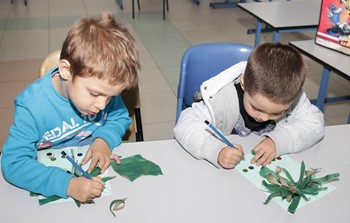 IMG_3987.jpg