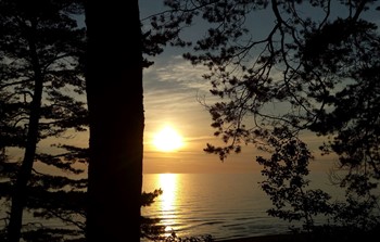20121307_1879496215635152_8772915351262747711_o.jpg